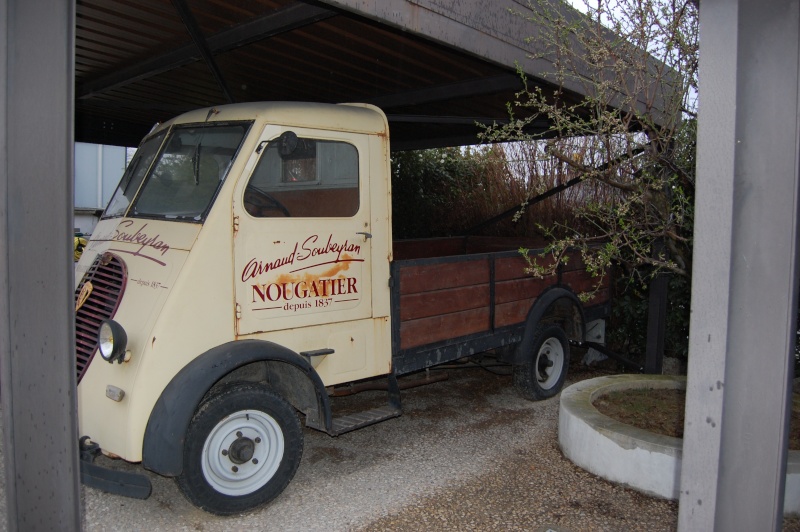 LES AMIS AQUARIOPHILES DE GOUESNOU EN ARDECHE A VIVIERS !!! Dsc_0275