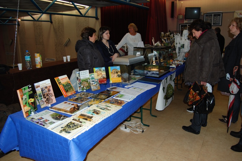 LES AMIS AQUARIOPHILES DE GOUESNOU EN ARDECHE A VIVIERS !!! Dsc_0567