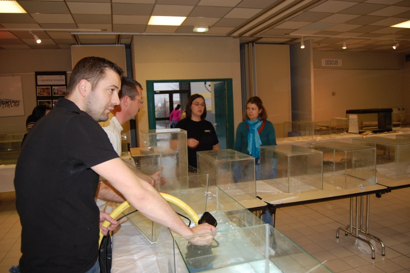 LES AMIS AQUARIOPHILES DE GOUESNOU EN ARDECHE A VIVIERS !!! Dsc_0669