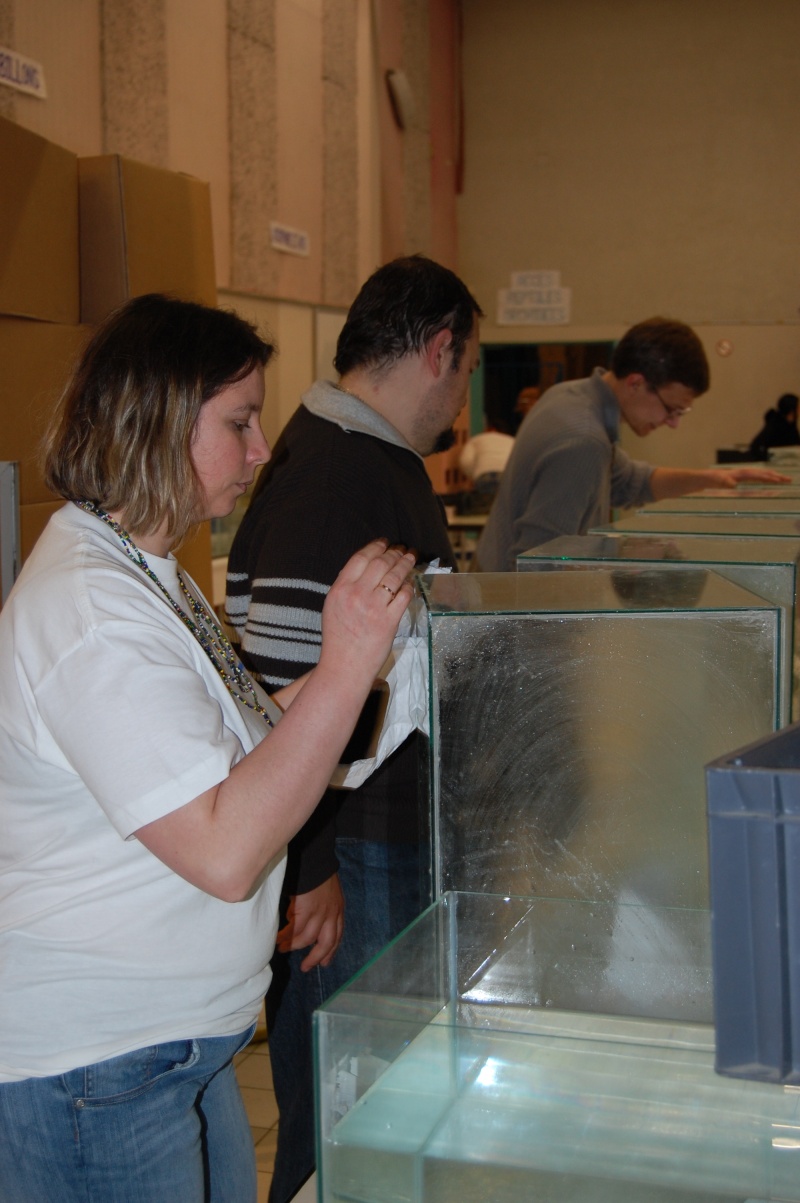 LES AMIS AQUARIOPHILES DE GOUESNOU EN ARDECHE A VIVIERS !!! Dsc_0681