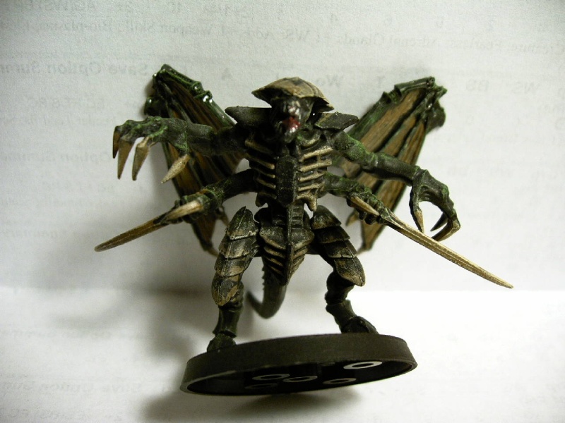 Wniged warrior/Brood lord Imag0233