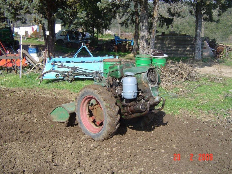 AGRIA Dsc01827
