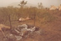 ( N° 02) Photos du séjour en Centre-Afrique décembre 1983 . ( Photos de FONCK) 13cent11