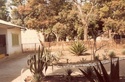 ( N° 02) Photos du séjour en Centre-Afrique décembre 1983 . ( Photos de FONCK) 4centr10