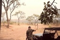 ( N° 02) Photos du séjour en Centre-Afrique décembre 1983 . ( Photos de FONCK) 8fonck10