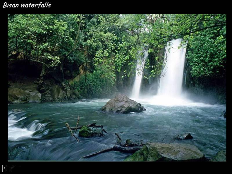 صور من فلسطين رائعة 3010