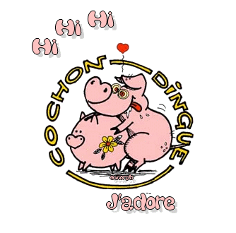 COCHON DINGUE HI HI HI J'ADORE 0petit42