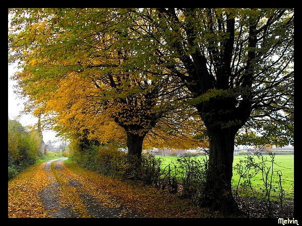 l'automne du nord, du sud, du centre, beau partout!   Dscf8212