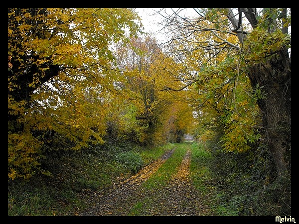 l'automne du nord, du sud, du centre, beau partout!   Dscf8213