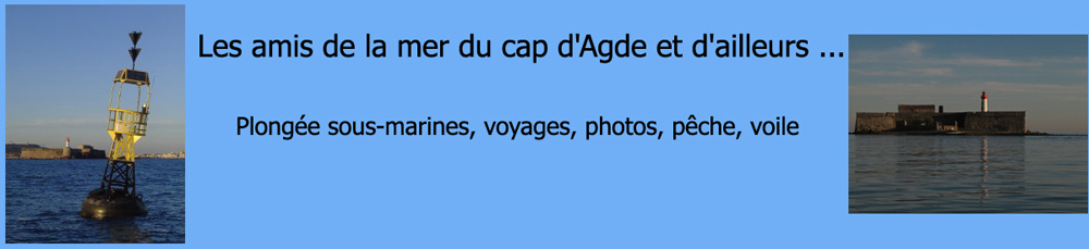 Les amis de la mer du cap d' Agde et d' ailleurs