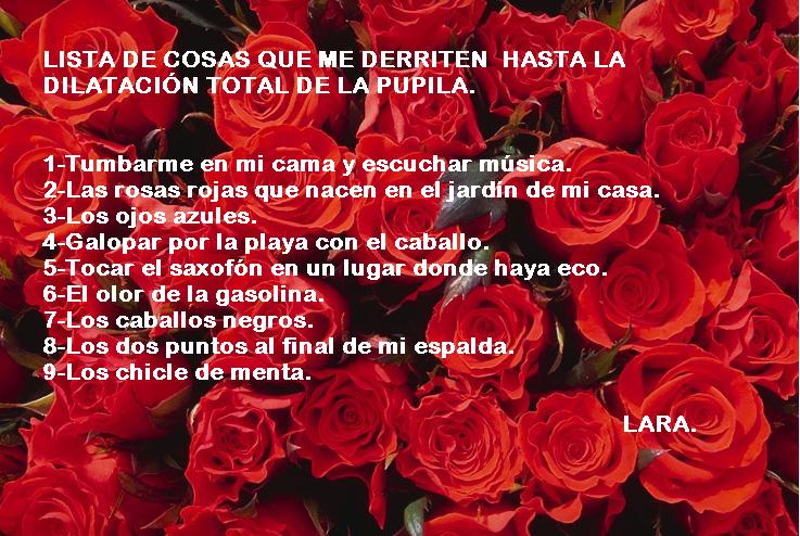 LISTA DE COSAS QUE ME DERRITEN. Lara10