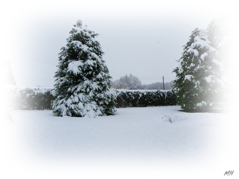  photos de la neige en Bretagne Imgp1631