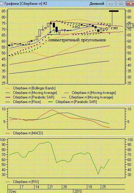 Сбер перф дневной Sb_28010