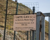 FORTE CAVALLI 0015
