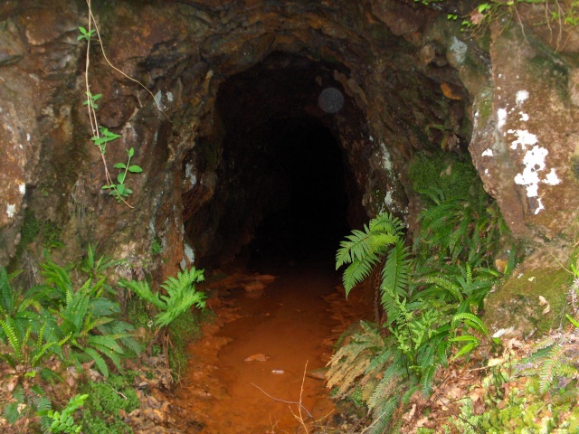 Klondyke Lead Mine (Trefriw) Hpim4618