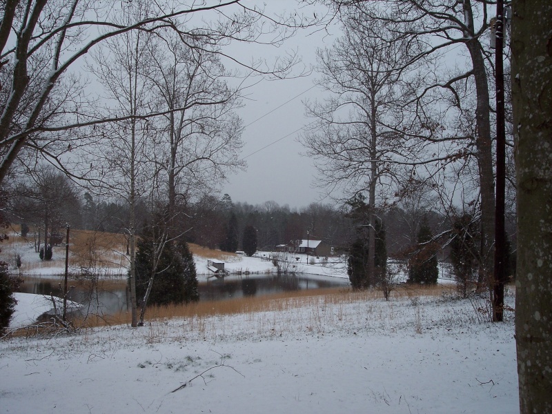 Our 1st Measurable Snow 100_1411