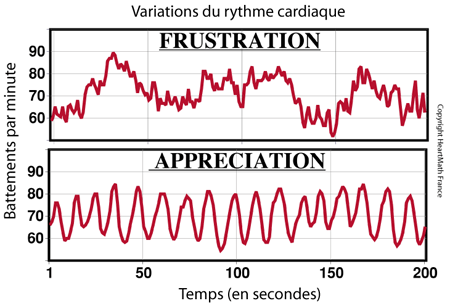 La variabilité du rythme cardiaque Fondem10
