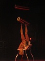 Le Cirque Biasini (nouveauté 2009) P4190319