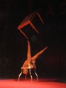 Le Cirque Biasini (nouveauté 2009) P4190326