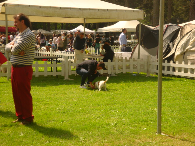 Internazionale di Orvieto e S.Marino 1-2 maggio 2010 Dsc02114