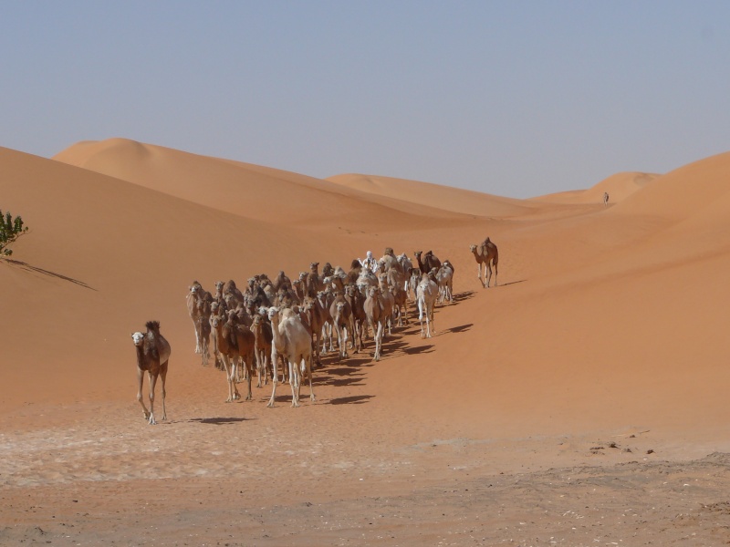 Mauritanie 2009 P1040010