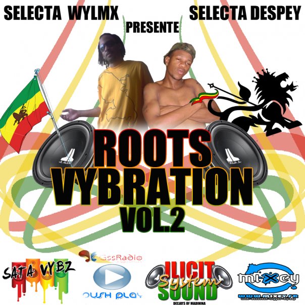 Selecta Wylmx Présente Roots Vybration Mixtape Vol.2 en téléchargement Roots_10