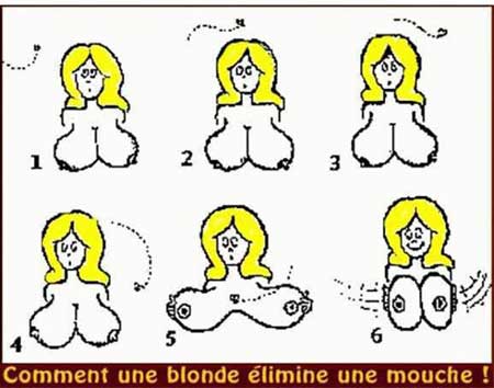 Les blagues à Sylvie Commen11