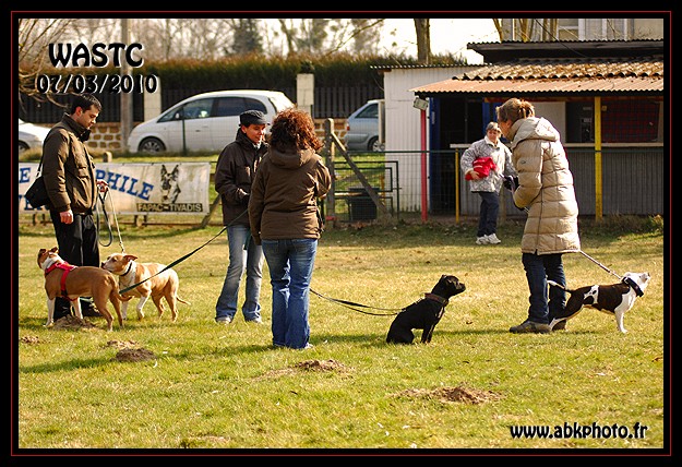 PREMIERE JOURNEE DU WASTC Wastc_38