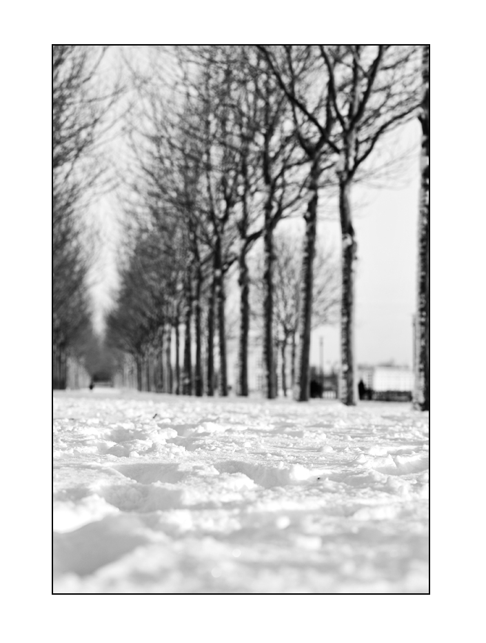 Chemin de neige Neige10