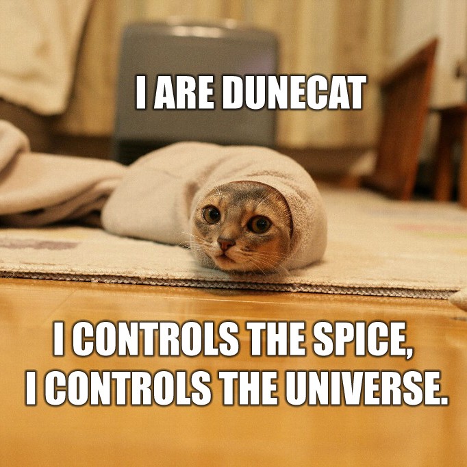 lolcats - Page 2 Duneca10