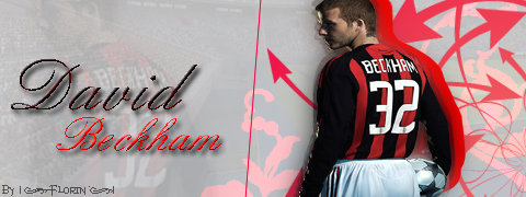 Beckham | color Beckha10