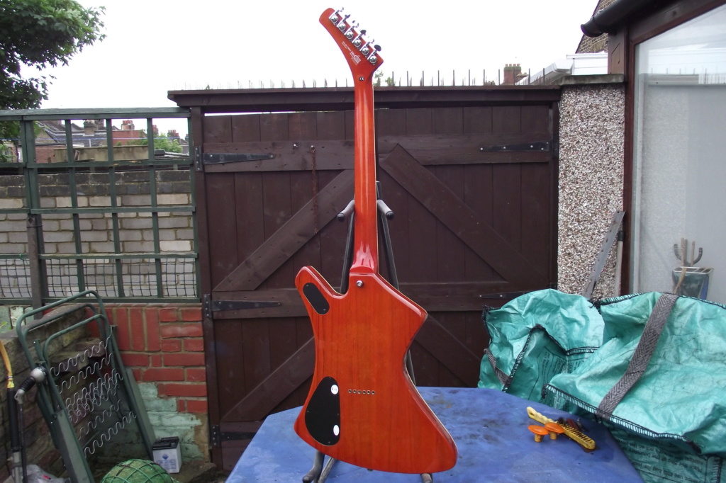 New acquisition: Washburn A20-V BBR Pictur12
