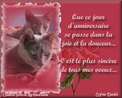 Bon Anniversaire Sylvia Bon Anniversaire Sylvia