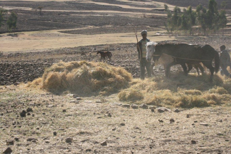 A la découverte du nord de l'ETHIOPIE Ethiop24