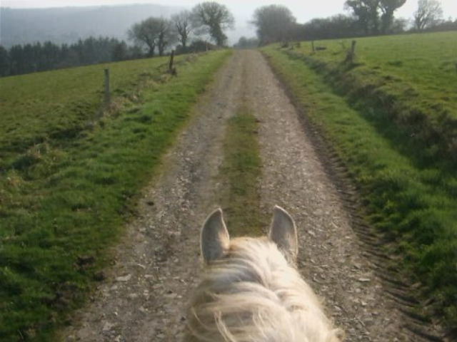 Travail des loulou  (cours de dressage avec Radja) - Page 11 11030614