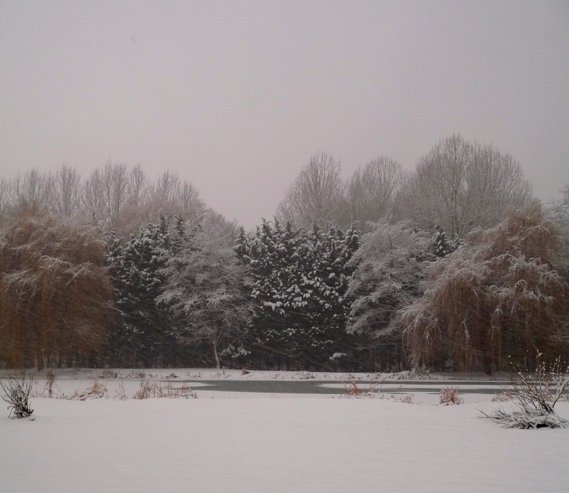 quelque photo d'hiver Breul11