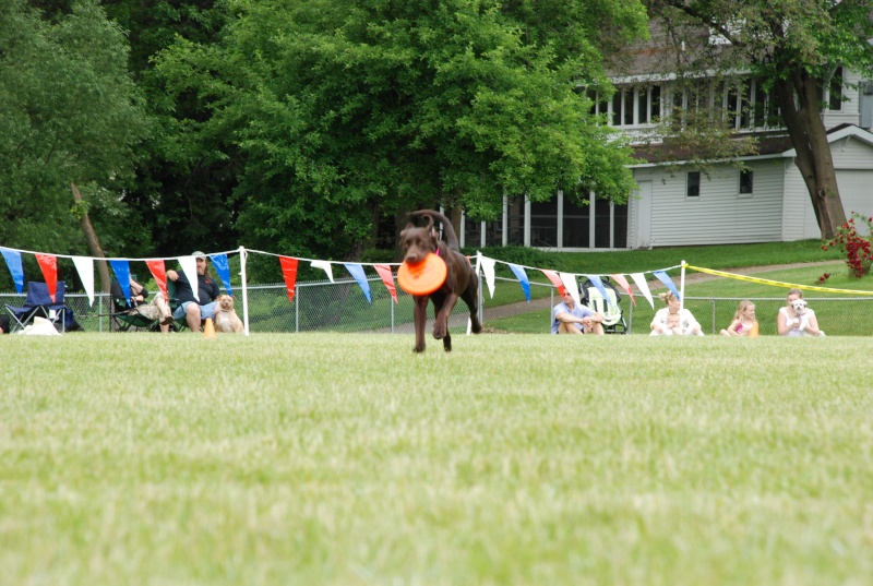 CURWOOD FESTIVAL... June 3-6, 2010... Owosso, MI. Dsc_2724