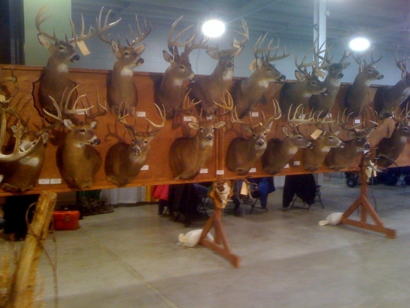 Off to the deer & turkey expo Expo0012