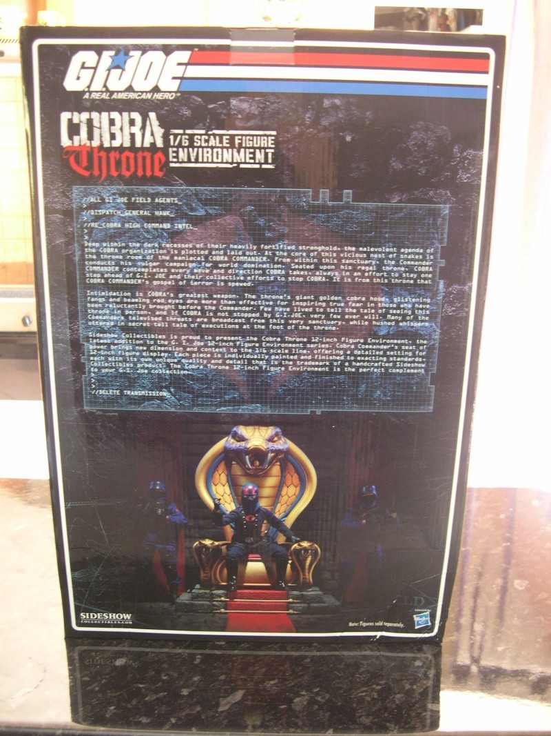 COBRA - THRONE ENVIRONMENT Dscn5617