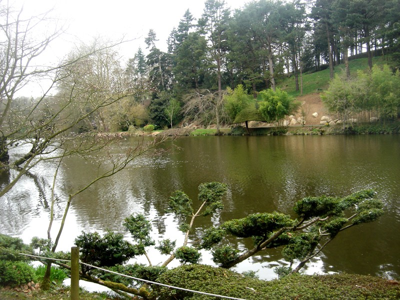 Lub caij paj tawg lawm os lawv aw! ( le retour du printemps/the return of spring) Dsc08517