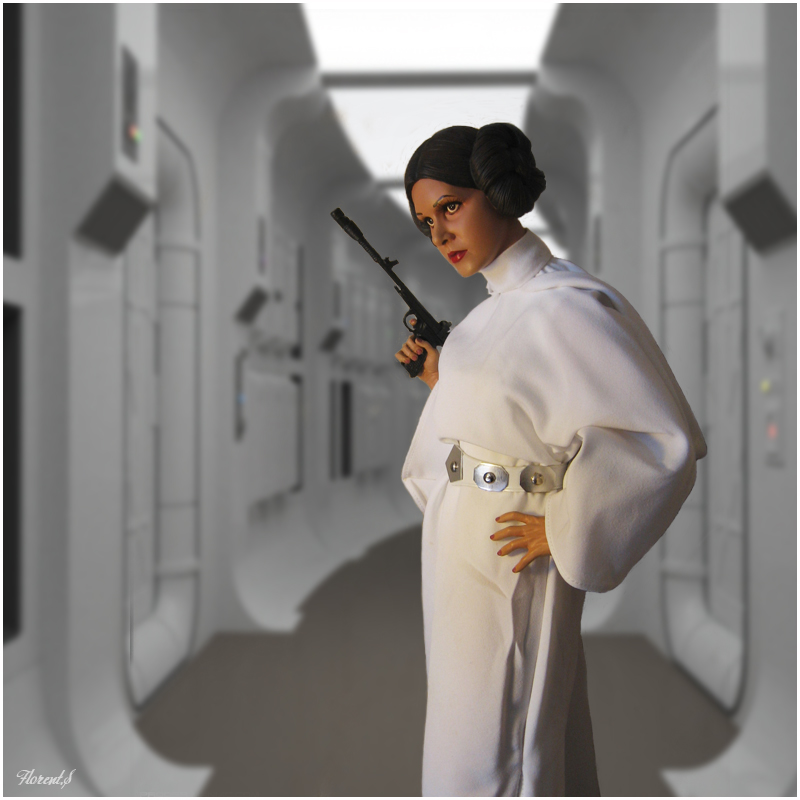 collection n°311: Darth Han Leia10