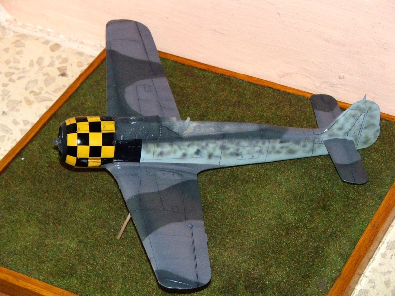 1/32nd Focke Wulf Fw190 A5 2_00110