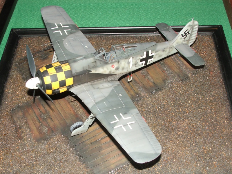 1/32nd Focke Wulf Fw190 A5 Dscf7410