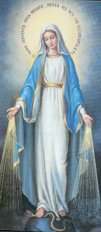 immacolata - Immacolata Concezione della Beata Vergine Maria 8 dicembre 02210