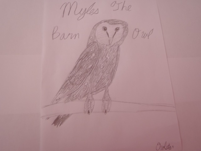 Go Barn Owls! Myleba11