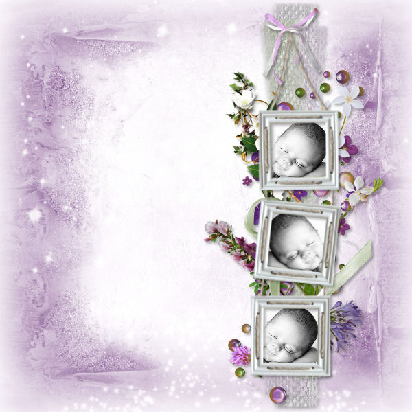 Lavender fancy Pasko117