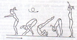 الحركات الأرضية في الجمباز 1410