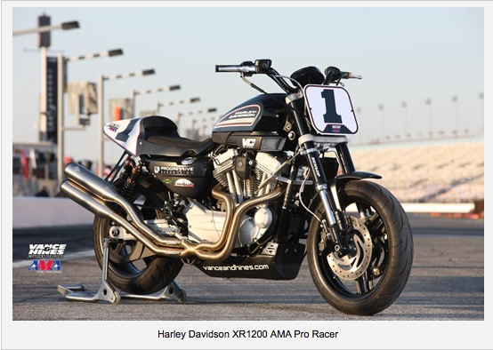 Harley Davidson XR1200 AMA Pro Racer Pictur84