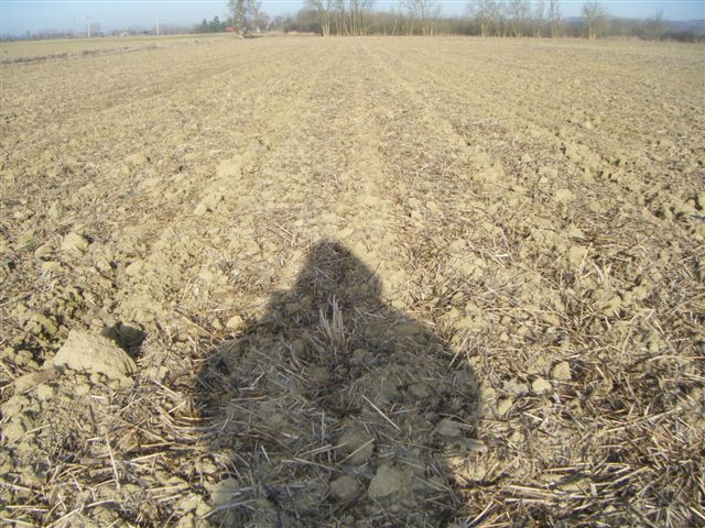 Strip till Orthman - Page 2 Dscf6423