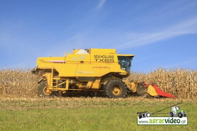 ensilage en conditions.........pas facile Mml03512